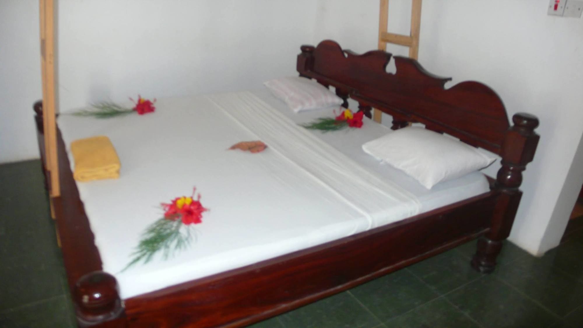 Union Beach Bungalow Nungwi Buitenkant foto